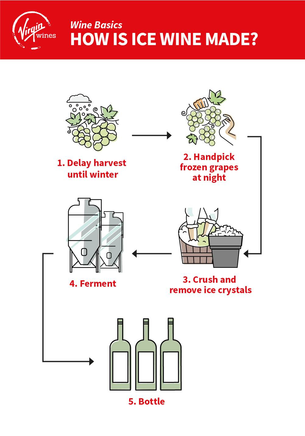 Infographic by Virgin Wines showing how ice wine is made