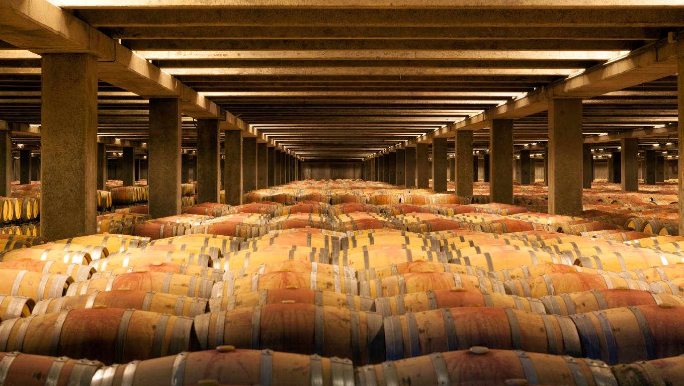 oak barrels in a winery