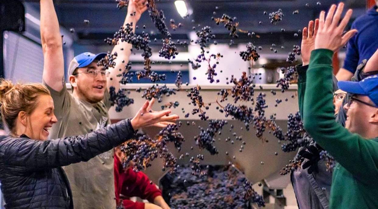 Young winemakers in Washington throwing red grapes in the air in a winery and looking happy