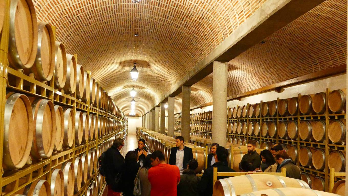wine barrells inside a winery with a group of people having a tour