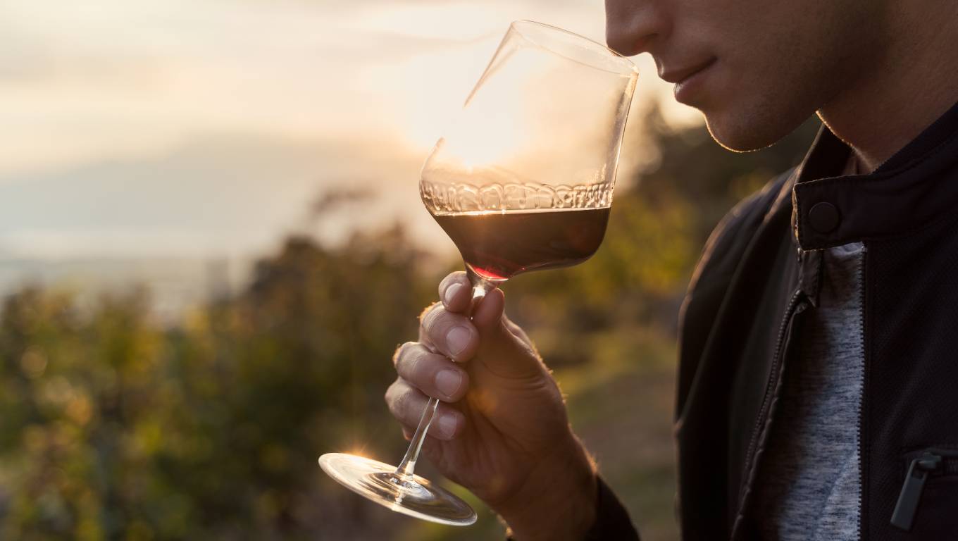 close up of man smelling a glass of red wine in a vineyard with sunset in background