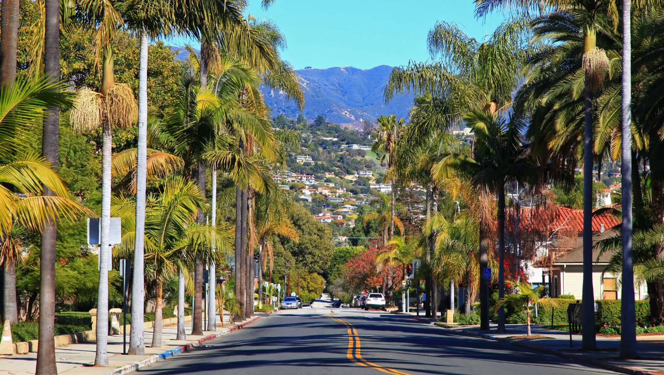 Street lined with palm trees in Santa Barbara