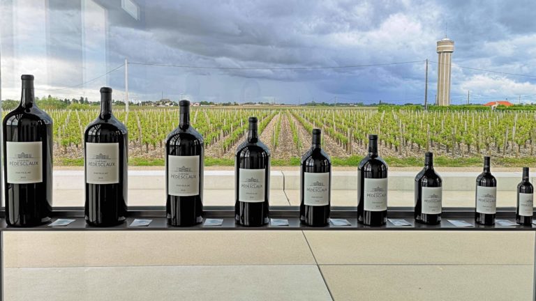 Line-up of red wine bottles going from magnum to mini, on a large window sill in a winery in Bordeaux, France