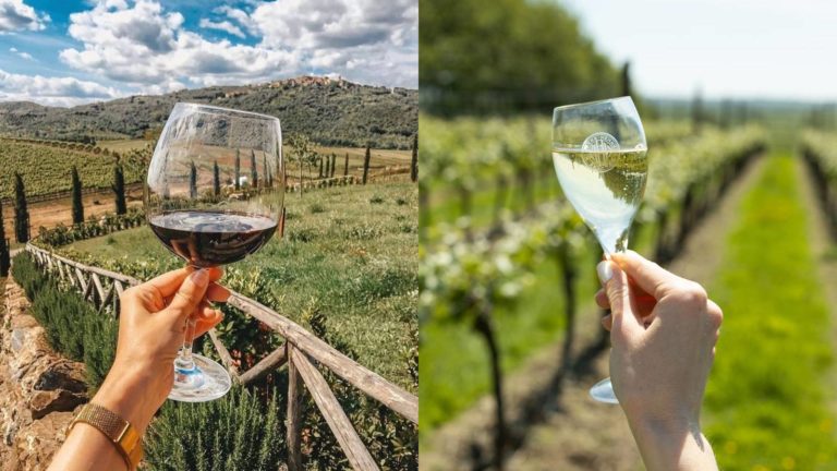 Image split down the middle with the left side showing a glass of red wine being held up in front of a warm climate vineyard, and the right side showing a glass of white wine being held up in front of a cool climate vineyard