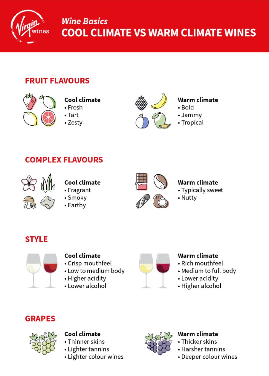 Infographic by Virgin Wines showing the difference between wines from cool climate regions and wines from warm climate regions