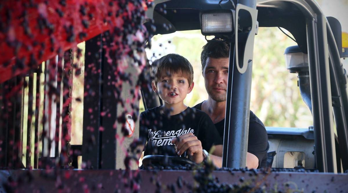 Steve Grimley and his son in the winery