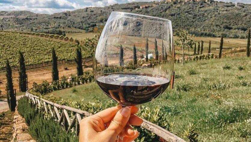 Woman holding up a glass of full-bodied red wine in a warm climate vineyard in Spain
