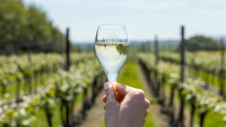 Woman holding up a glass of English sparkling wine in front of Henners vineyard in Sussex
