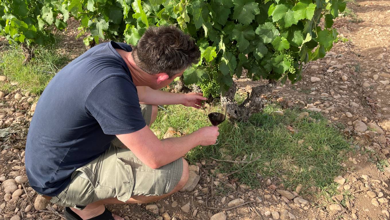 Wine buyer Alex inspecting vines in Rioja