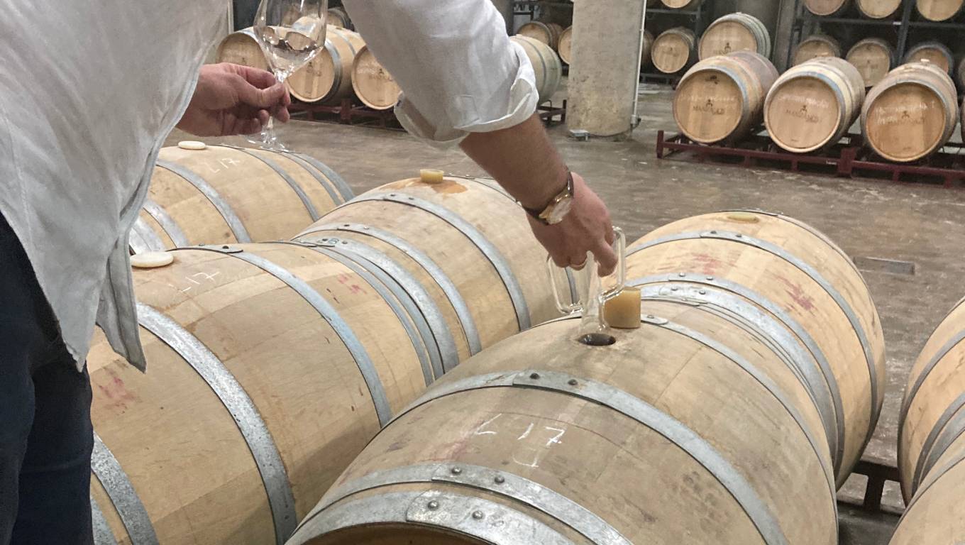 Borja extracting wine from the barrel