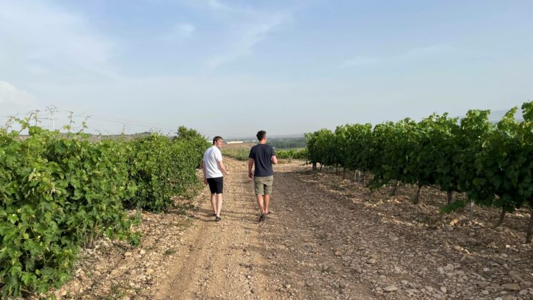 Alex and David walking through vineyard