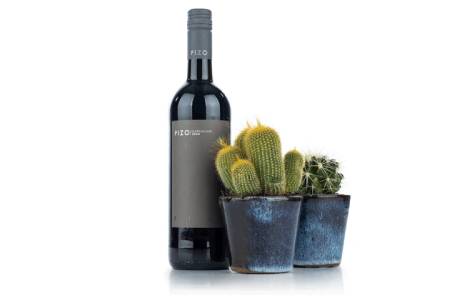 Cacti Duo with Spanish Red Wine