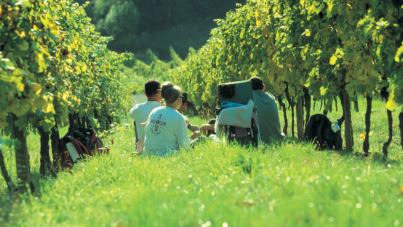 Group of grape pickers sitting in vieyard