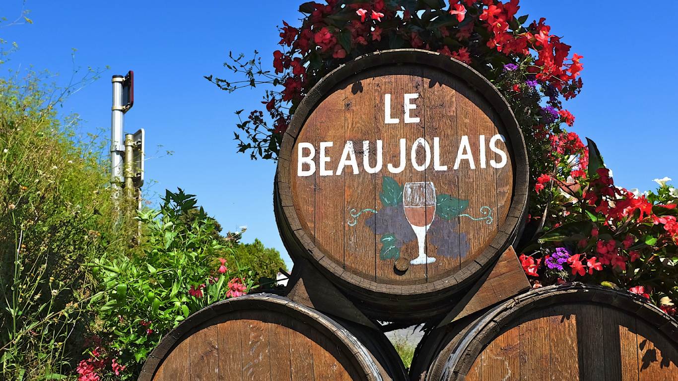 Barrels of Beaujolais wine in a vineyard in the Burgundy region