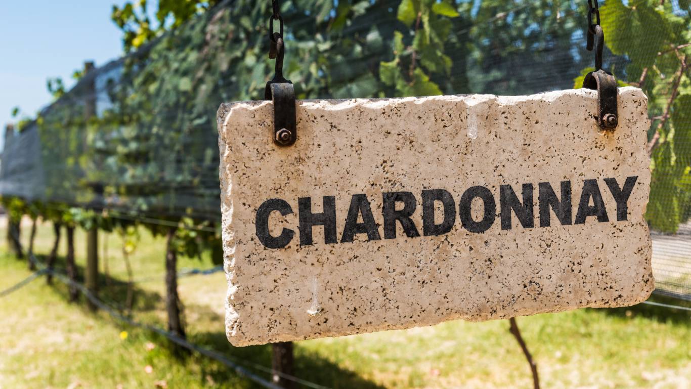 Chardonnay sign in a vineyard