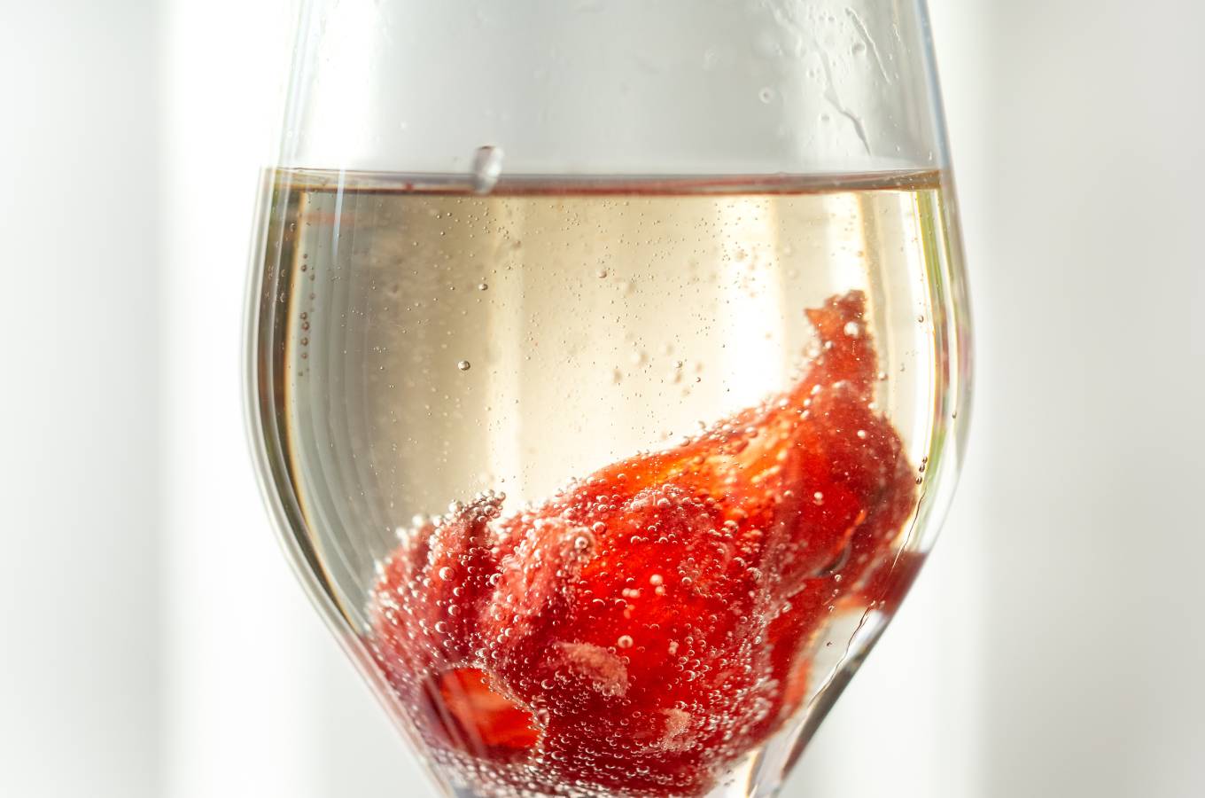 Close up of hibiscus flower in a Prosecco flute