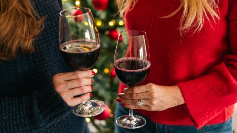 Two women in cosy jumpers in front of Christmas tree holding glasses of wine to represent Vin De France wine and appetizer pairings