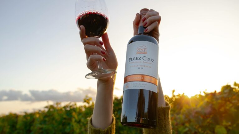 Woman holding up bottle of Perez Cruz wine and a glass of wine in front of vines in a vineyard at sunset