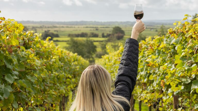 Woman holding up glass of wine from Virgin Wines in a vineyard to represent sustainable wine.