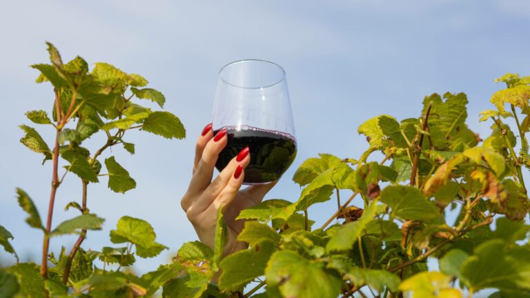 Woman holding up a glass of red wine over vine leaves to represent Virgin Wines brand refresh