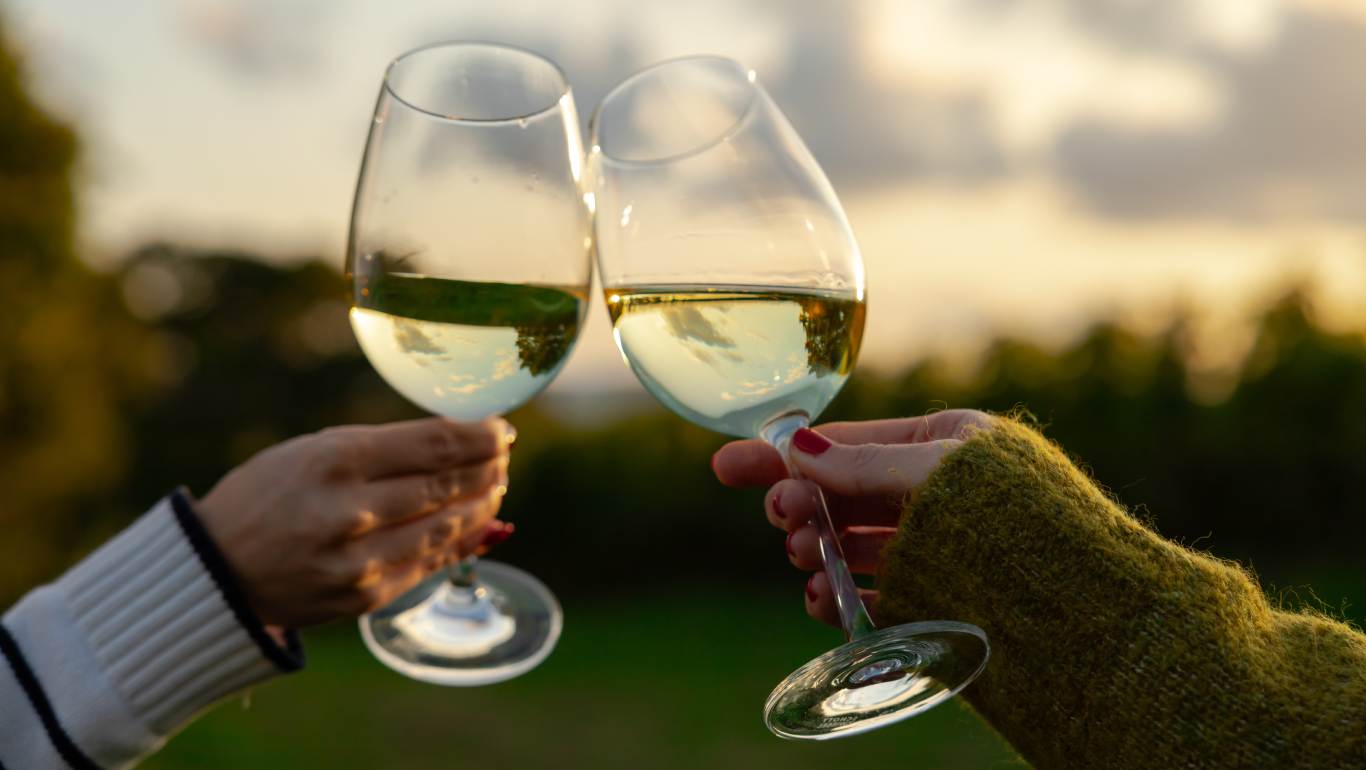 Two glasses of white wine in a vineyard