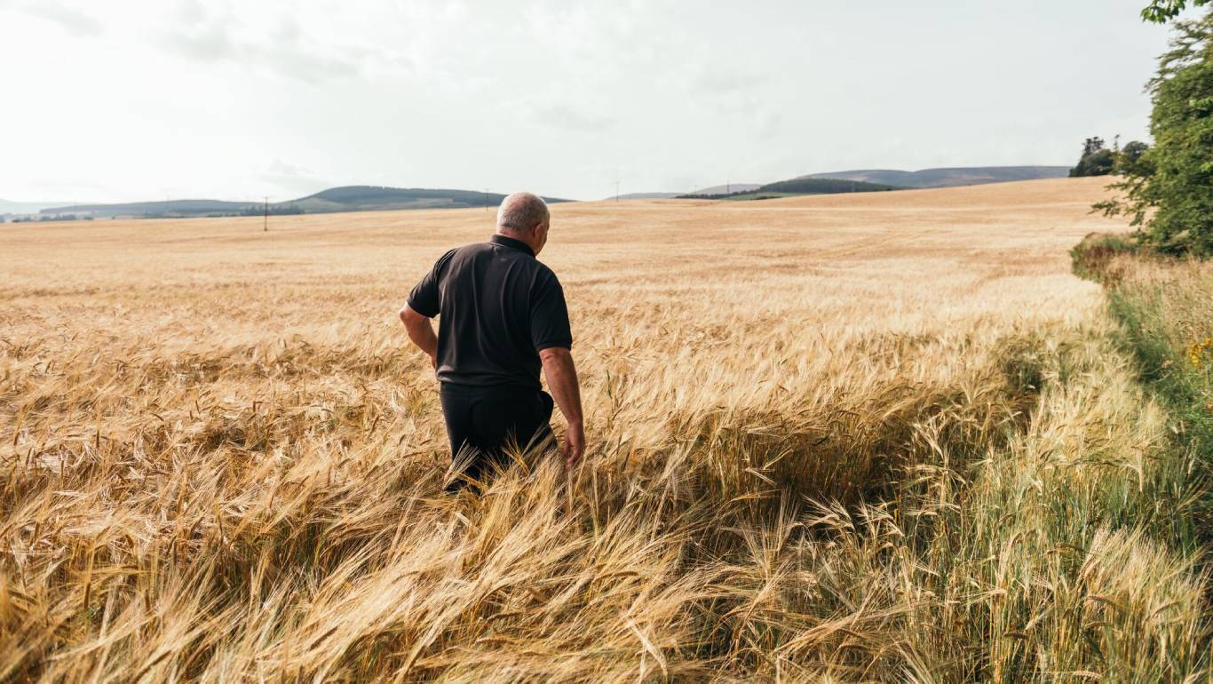 Stewart Walker in barley field in Scotland