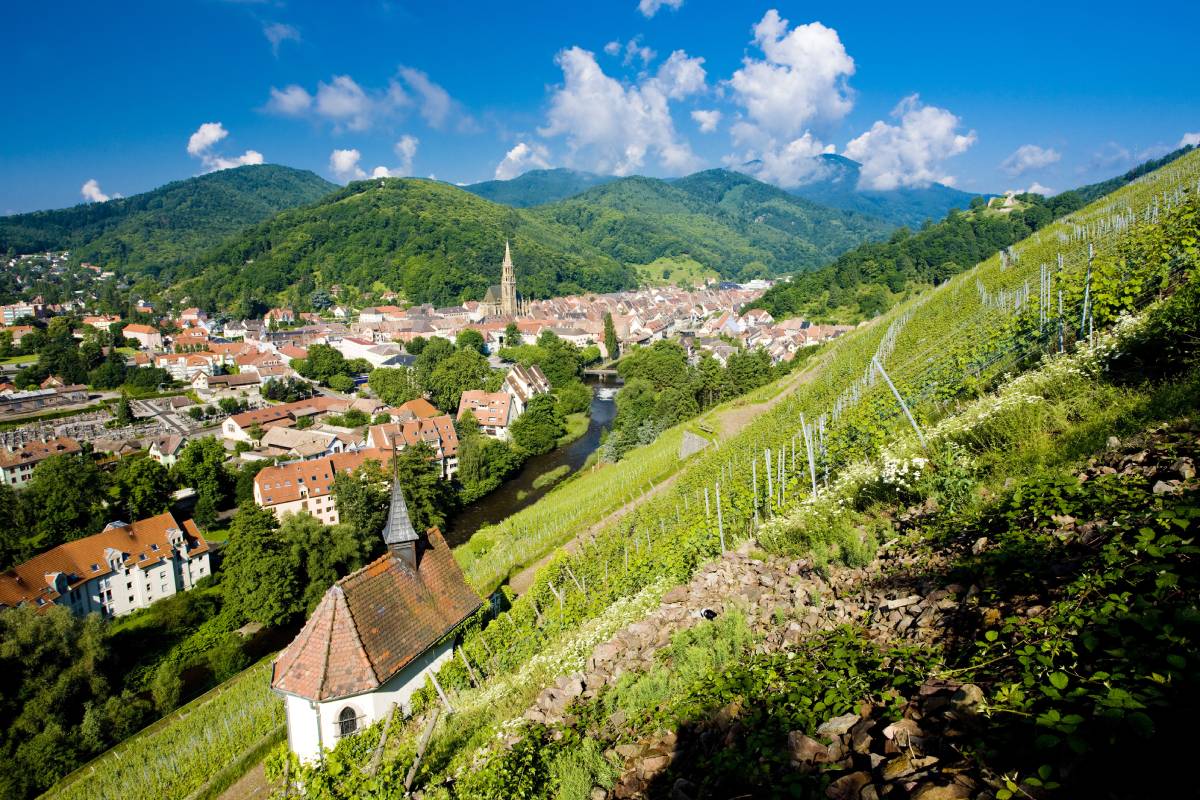 Alsace Wine Region, France