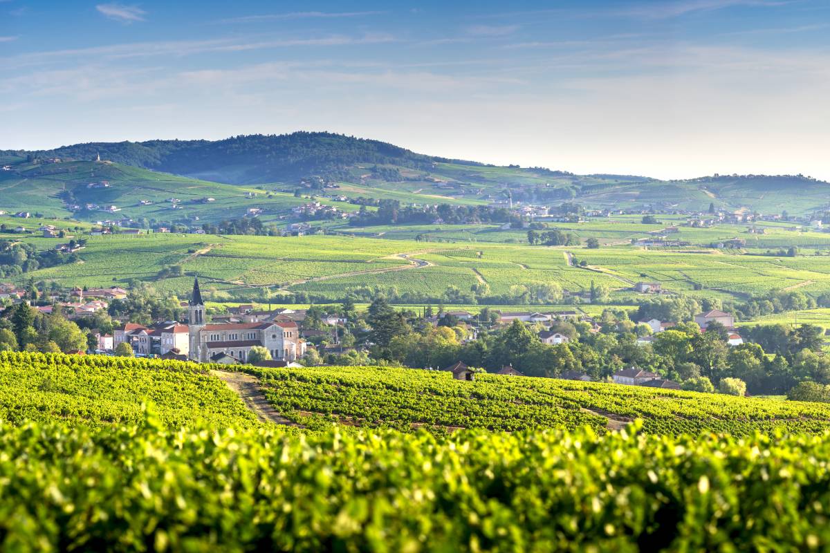 Beaujolais Wine Region, France