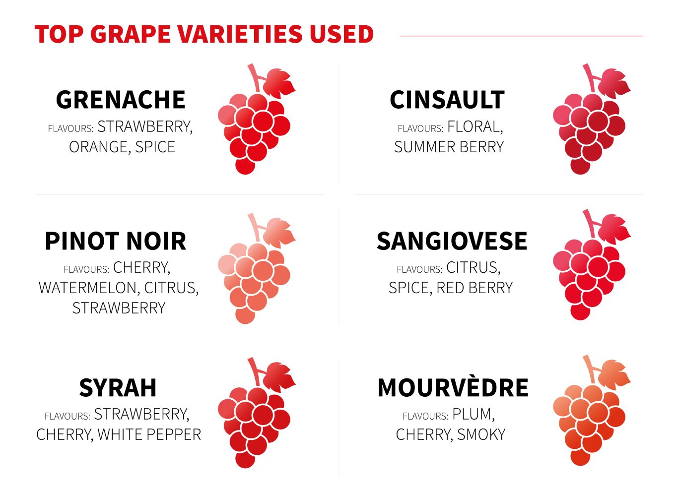 Infographic of Top Grape Varieties Used in Rose Wine by Virgin Wines