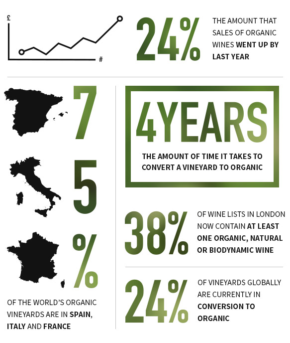 An Introduction to Organic Wine - Infographic