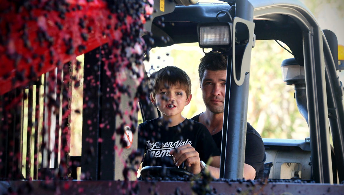 Steve Grimley in the winery with his son
