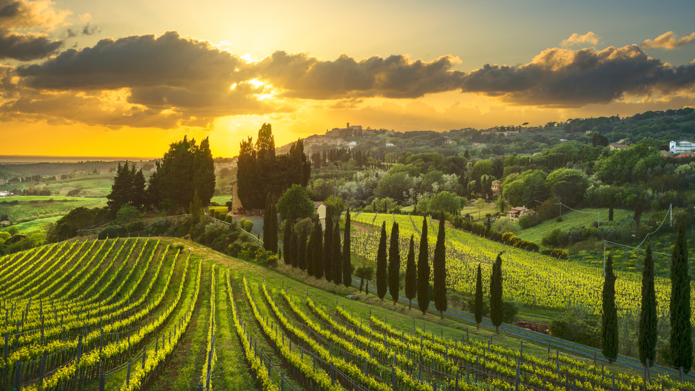Italian Wine Regions | Wine Guide | Virgin Wines